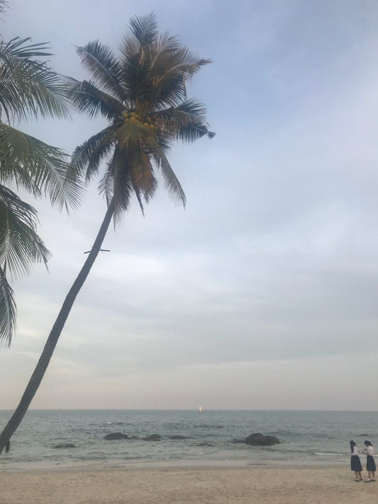 Solhilsen fra paradis, Sai Daeng Beach, Koh Tao.